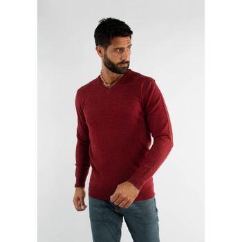Pull Hollyghost Pull bordeaux touch cashemere avec col V