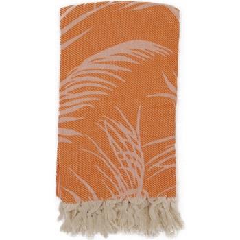 Serviettes de plage Fouta Futée AMAZON