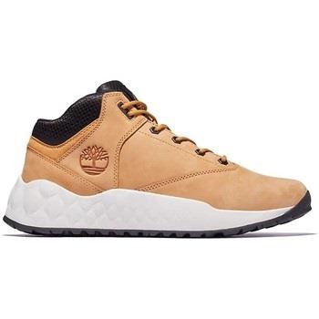 Baskets Timberland SOLAR WAVE SUPER OX