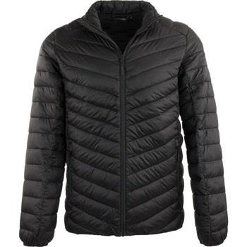 Veste Alpine Pro Rogos