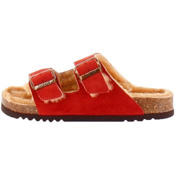 Sandales Scholl JOSEPHINE SUEDE BIS