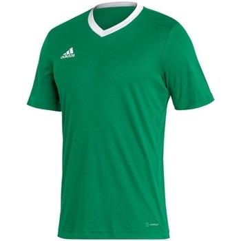 T-shirt adidas Entrada 22