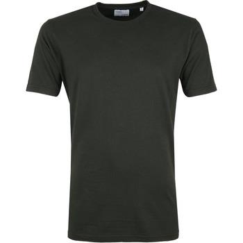 T-shirt Colorful Standard T-shirt Bio Vert Foncé