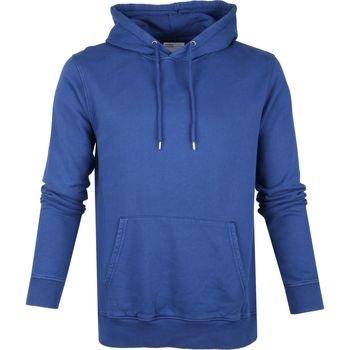 Sweat-shirt Colorful Standard Sweater à Capuche Organic Bleu