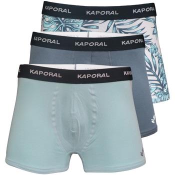 Boxers Kaporal 113856