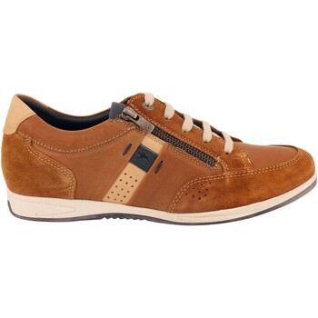 Derbies Fluchos DANIEL F1282