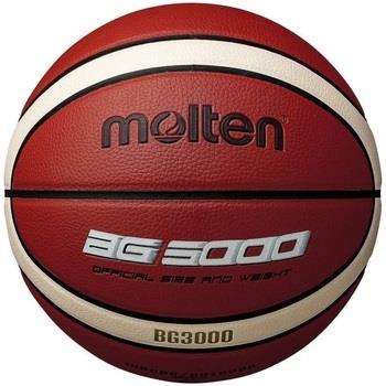 Ballons de sport Molten 3000