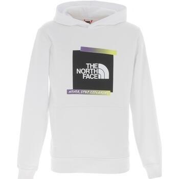 Sweat-shirt The North Face M es graphic hoodie - eu