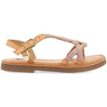 Espadrilles enfant Gioseppo xanxere