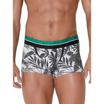 Boxers Code 22 Boxer Palm Tree Code22