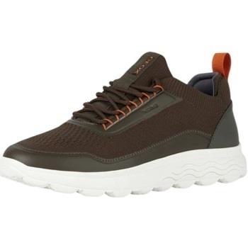 Baskets basses Geox Baskets Spherica homme Ref 59983 Vert