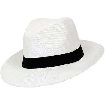 Chapeau Chapeau-Tendance Chapeau Borsalino SPINOZO T58