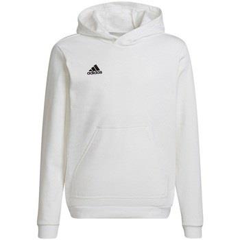 Sweat-shirt enfant adidas Entrada 22