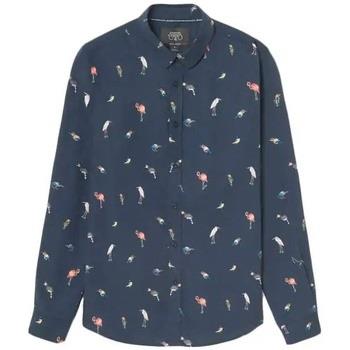 T-shirt Le Temps des Cerises Birdy a motif oiseaux