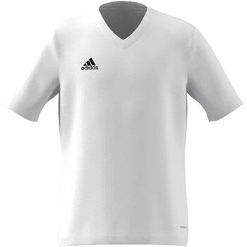 T-shirt enfant adidas T-Shirt Ent22 Jsy Y Bianco