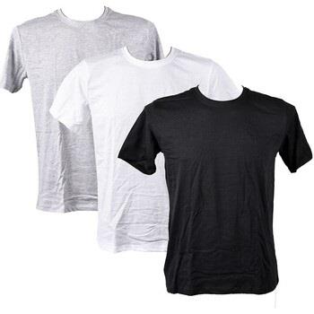 T-shirt Christian Lacroix Pack 3 Col rond 0230
