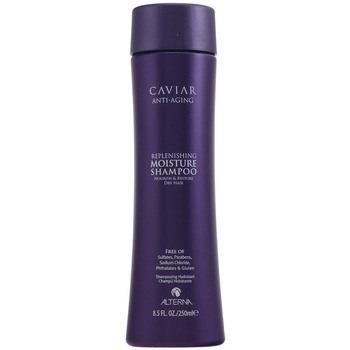 Shampooings Alterna Caviar Anti-aging Replenishing Moisture Shampoo