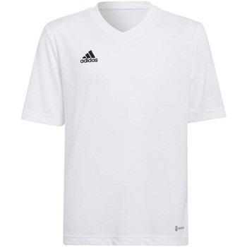 T-shirt enfant adidas Entrada 22 Jsy