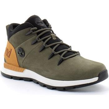 Baskets Timberland Basket mi-haute à lacets pour homme en vert Sprint ...