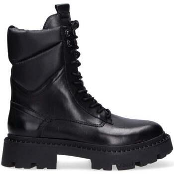 Boots Ash -