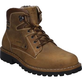 Bottes Josef Seibel Chance 51, castagne-kombi