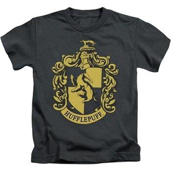 T-shirt enfant Harry Potter BI1557