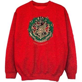 Sweat-shirt enfant Harry Potter BI2011