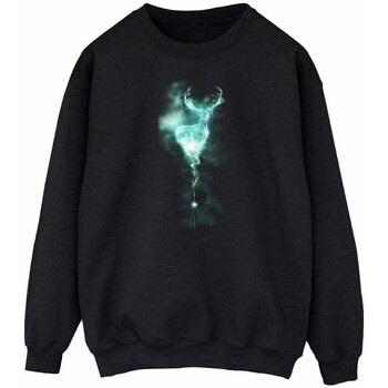 Sweat-shirt Harry Potter BI2098