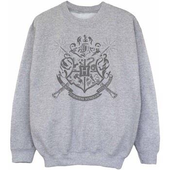 Sweat-shirt enfant Harry Potter BI2116