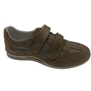 Chaussures Calzaturificio Loren LOG0250t