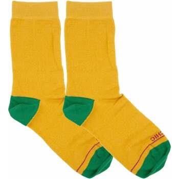 Chaussettes Panchic PASP005-0061Y001-GIALLO