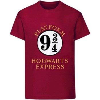 T-shirt Harry Potter HE225