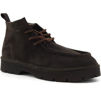 Chaussures Panchic Stivaletto Uomo Marrone Ebony P99M002-0042D009