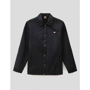 Veste Dickies -