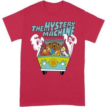 T-shirt Scooby Doo BI131
