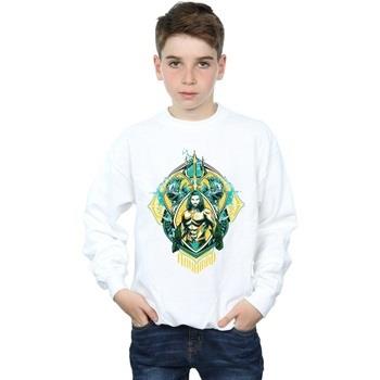 Sweat-shirt enfant Dc Comics BI6310