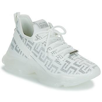 Baskets basses Steve Madden MAX-OUT