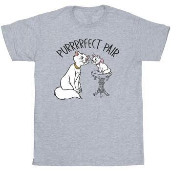 T-shirt enfant Disney The Aristocats Purrfect Pair