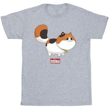 T-shirt Disney Big Hero 6 Baymax Kitten Pose