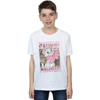 T-shirt enfant Disney Aristocats Marie Simply Purrfect Homage