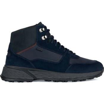 Baskets basses Geox sterrato abx sport shoe navy