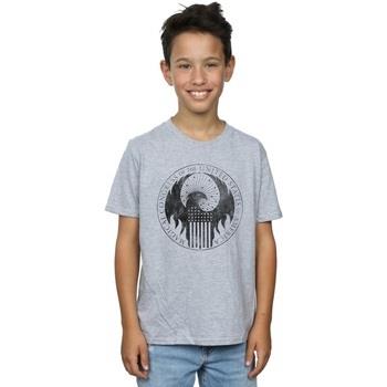 T-shirt enfant Fantastic Beasts Distressed Magical Congress