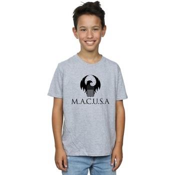 T-shirt enfant Fantastic Beasts MACUSA Logo