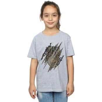 T-shirt enfant Marvel Black Panther Gold Head