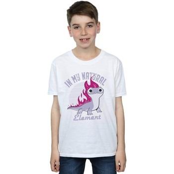 T-shirt enfant Disney Frozen 2 Salamander Bruni Element