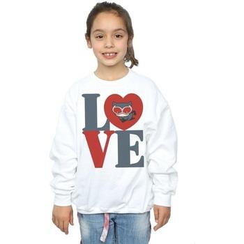 Sweat-shirt enfant Dc Comics BI11897