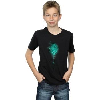 T-shirt enfant Harry Potter Hogwarts Crest Mist