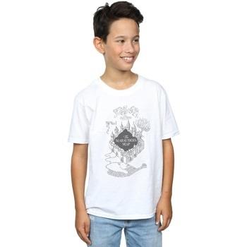 T-shirt enfant Harry Potter BI20121