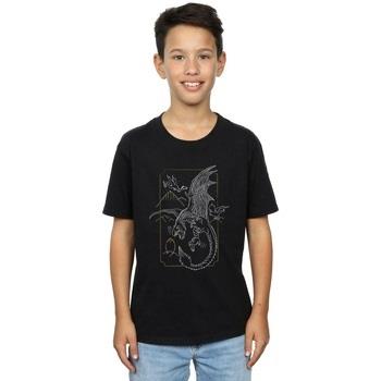 T-shirt enfant Harry Potter Dragon Line Art