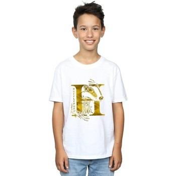 T-shirt enfant Harry Potter Hufflepuff